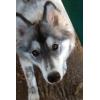 return_of_weatherbee's picture