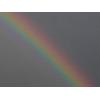 SuzieRainbow's picture